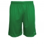 Preview: Stanno Field Shorts Grün